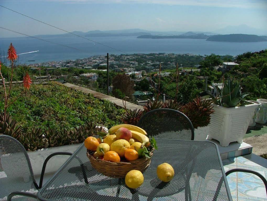 Villa Rosalia Ischia Dış mekan fotoğraf